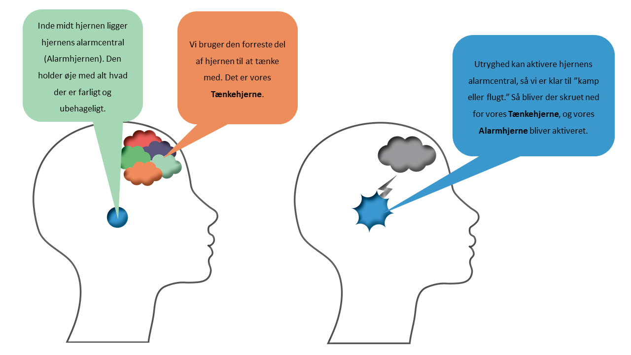 Tænkehjernen Alarmhjernen - Robusthed-forside